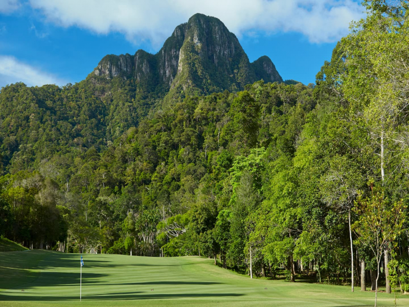 Lush green tree scene at the Els Club Teluk Datai Langkawi